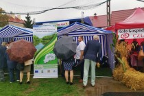 05_dozynki_Pokrzywnica_2019