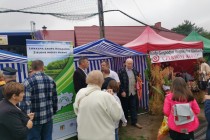 06_dozynki_Pokrzywnica_2019