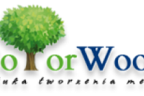 02_rozwijanie_dzial_colorwood_2016
