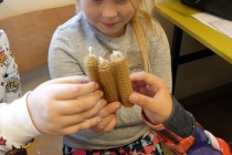 IMG_20231012_124534