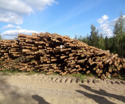 12_Finlandia_2014