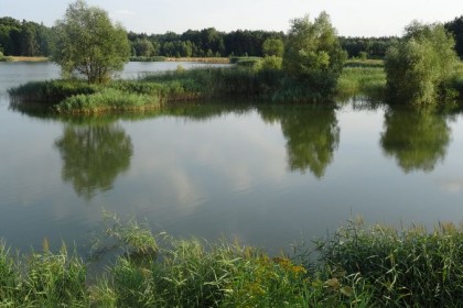 1_007_g_Nasielsk_Spokoj_wody_Paulinowo.jpg
