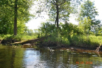 2_018_g_Pokrzywnica_Narew_w_Pogorzelcu2