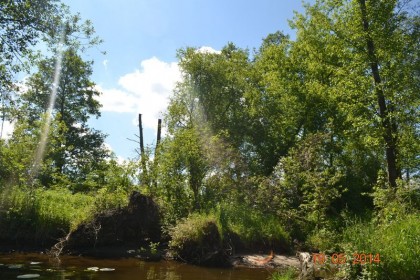 2_018_g_Pokrzywnica_Narew_w_Pogorzelcu3