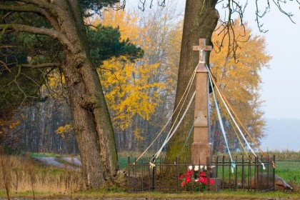 2_020_g_Nasielsk_krzyz_Psucin.jpg