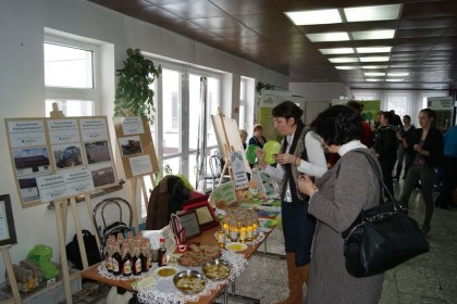 08_plonsk