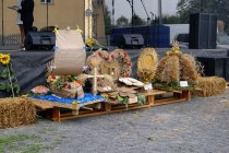 08_dozynki_winnica_2016