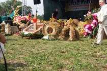 04_dozynki_Winnica_2017