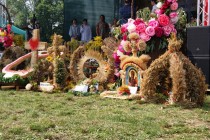 23_dozynki_Winnica_2017