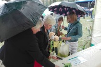 13_dozynki_Winnica_2018